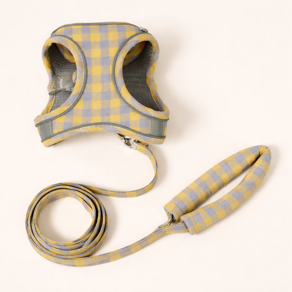 Arnes y Correa Jasper