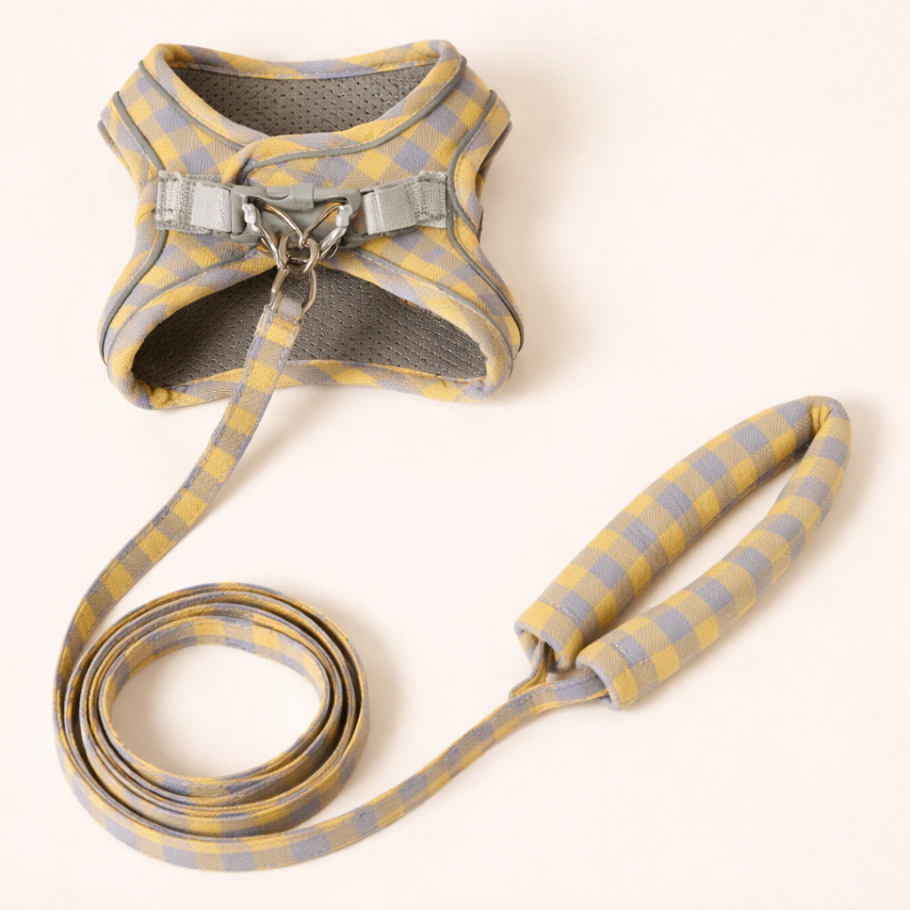 Arnes y Correa Jasper