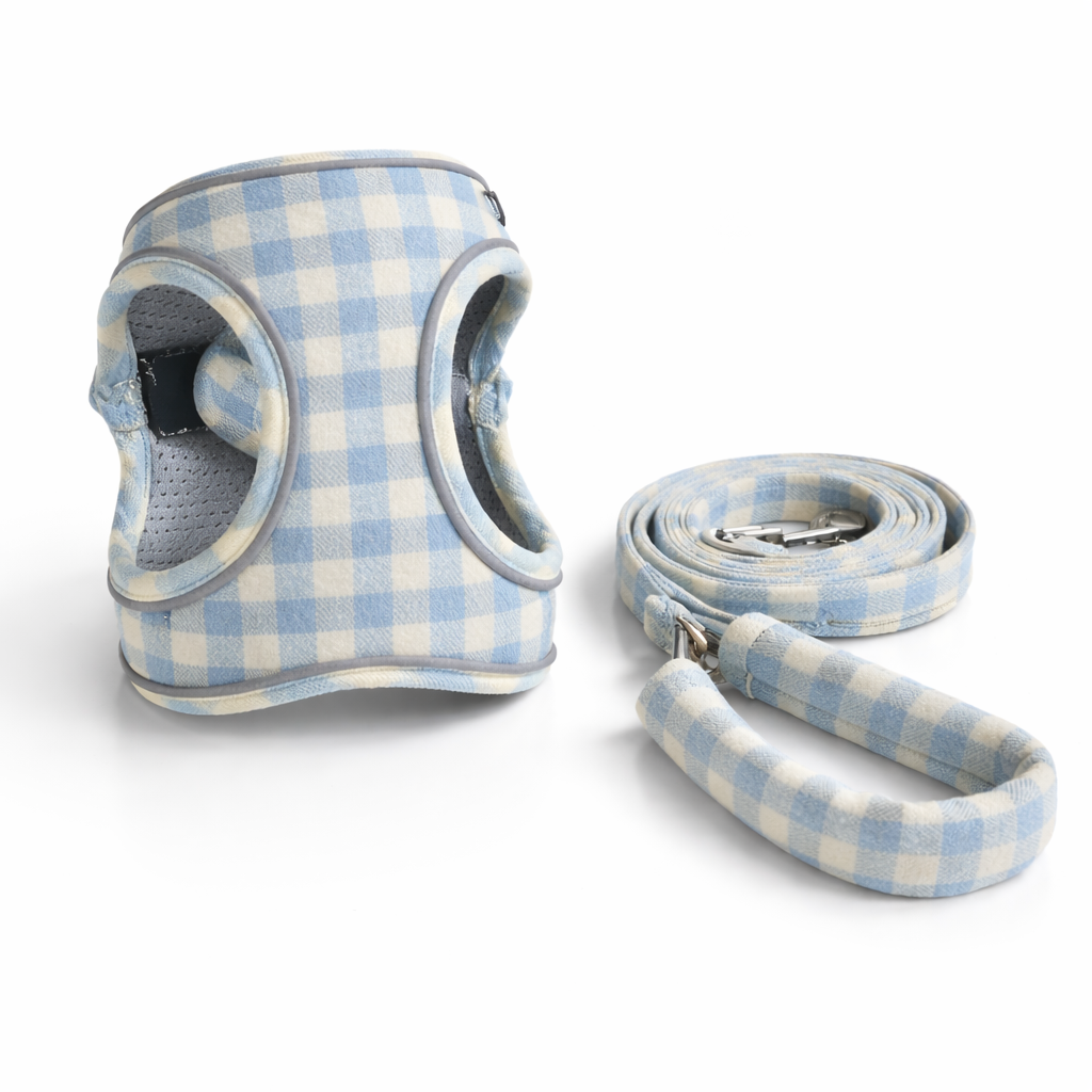 Arnes y Correa Jasper