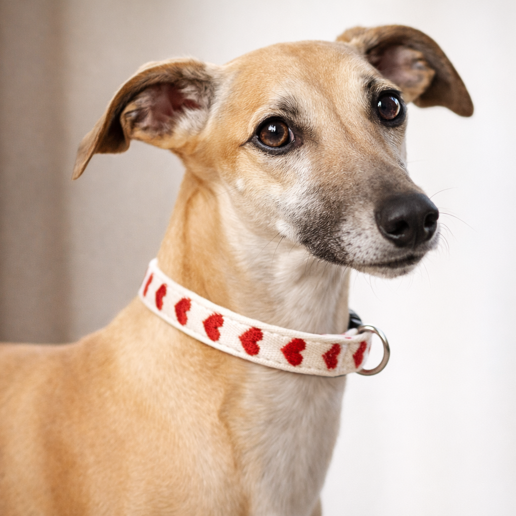 Collar corazón