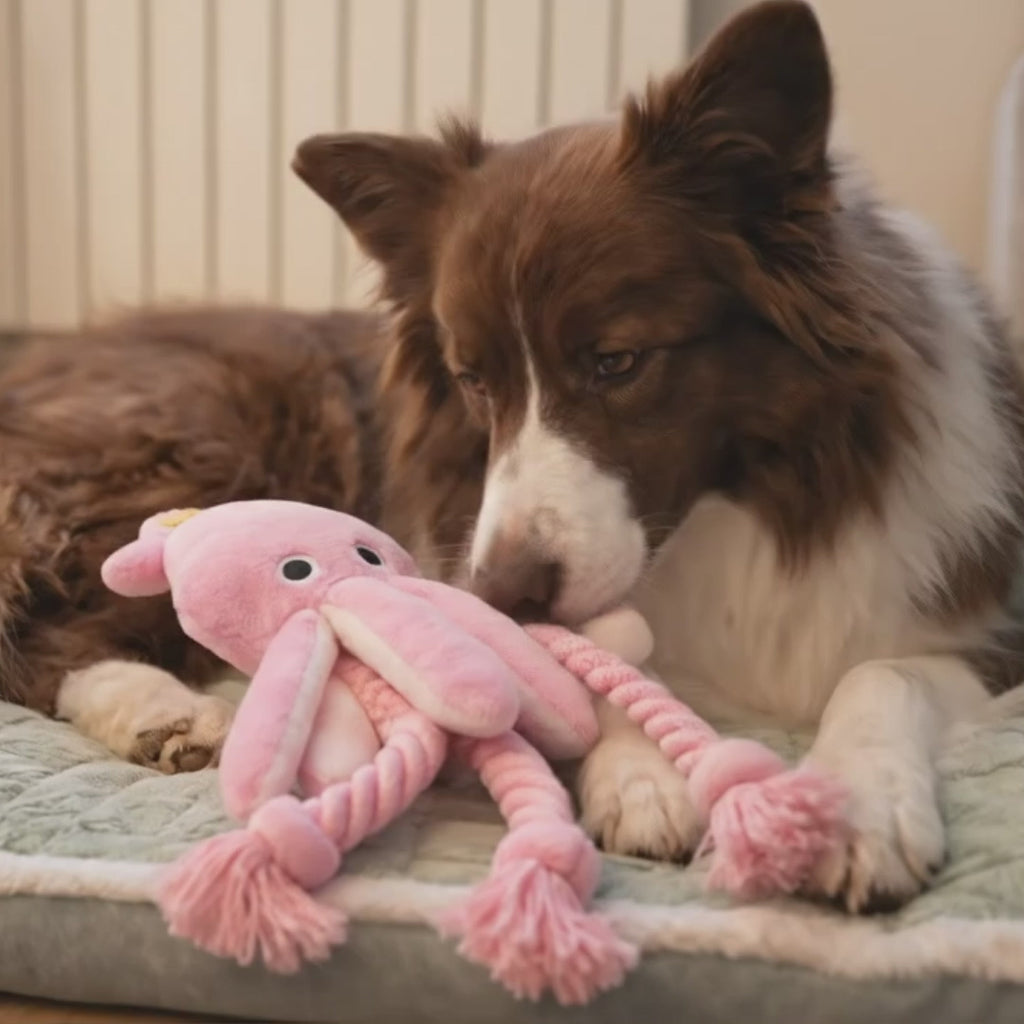 Peluche Pulpo